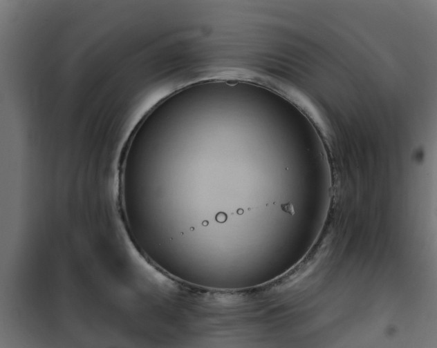 X0000101211095200807071332