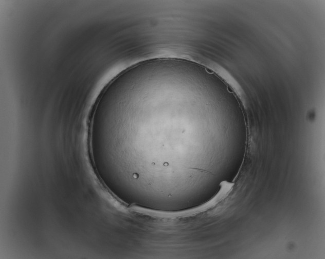 X0000101211096200807071332