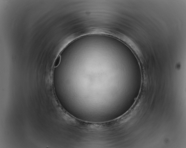 X0000101211097200807071332