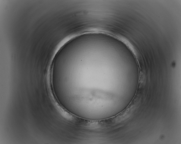 X0000101211098200807071332