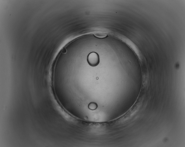 X0000101211099200807071332