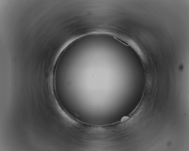 X0000101211100200807071332