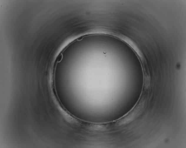 X0000101211101200807071332