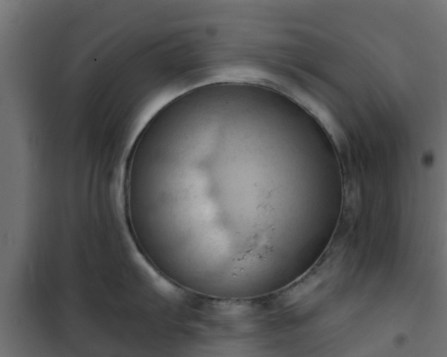 X0000101211103200807071332