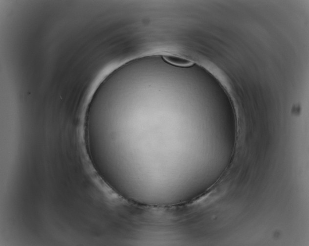 X0000101211104200807071332