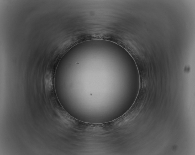 X0000101211106200807071332