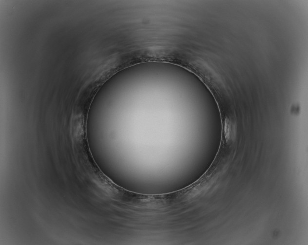 X0000101211107200807071332