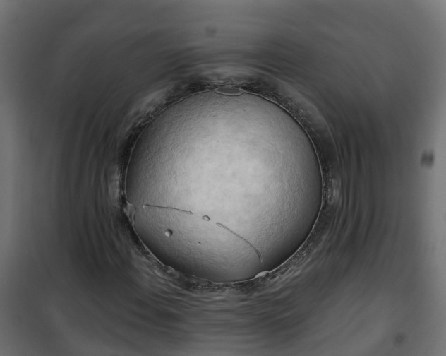 X0000101211108200807071332