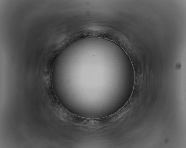 X0000101211109200807071332