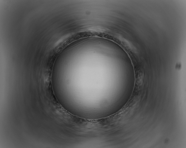 X0000101211110200807071332