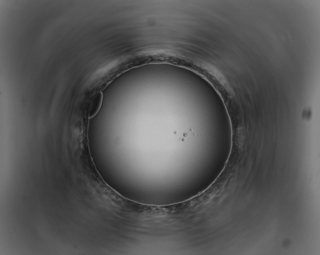 X0000101211111200807071332