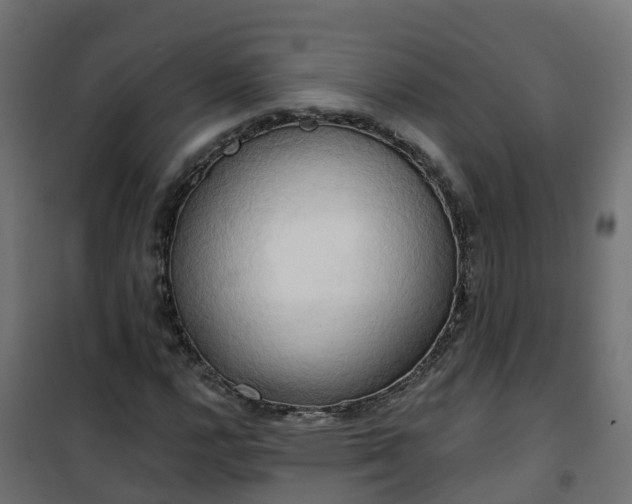 X0000101211112200807071332