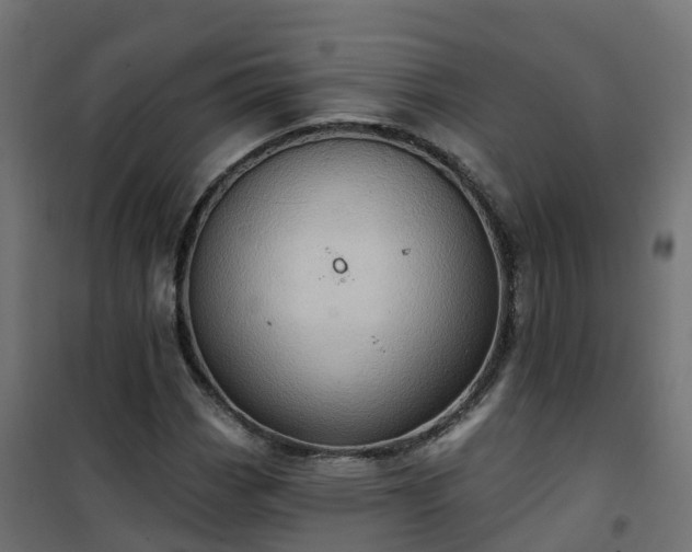 X0000101211113200807071332