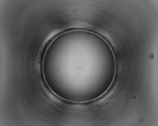 X0000101211114200807071332