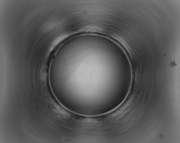 X0000101211115200807071332