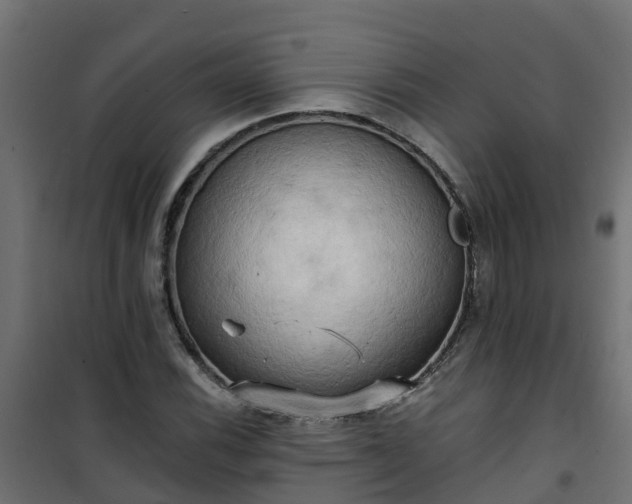 X0000101211116200807071332