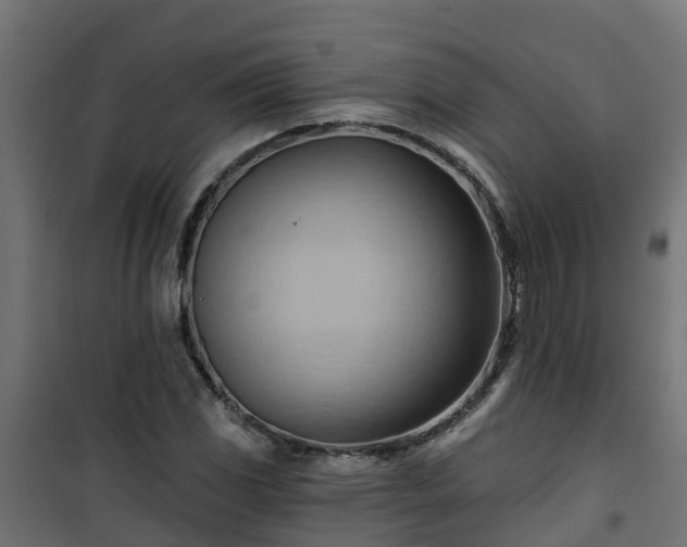 X0000101211117200807071332