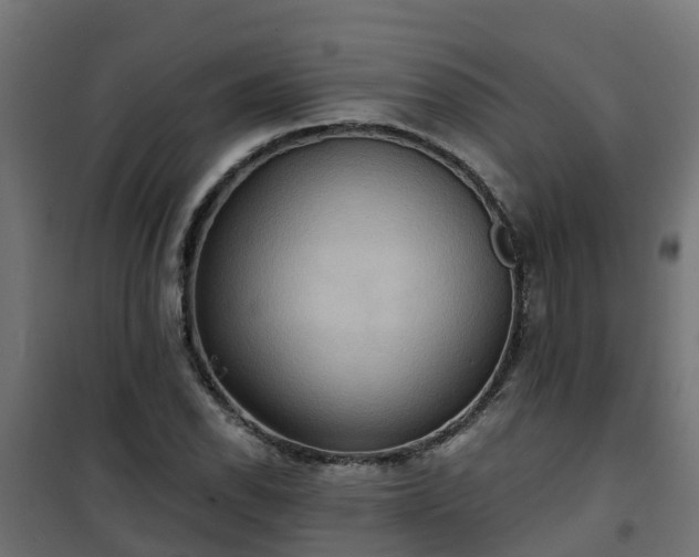 X0000101211118200807071332