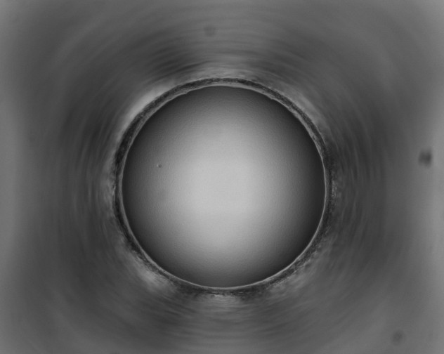 X0000101211119200807071332