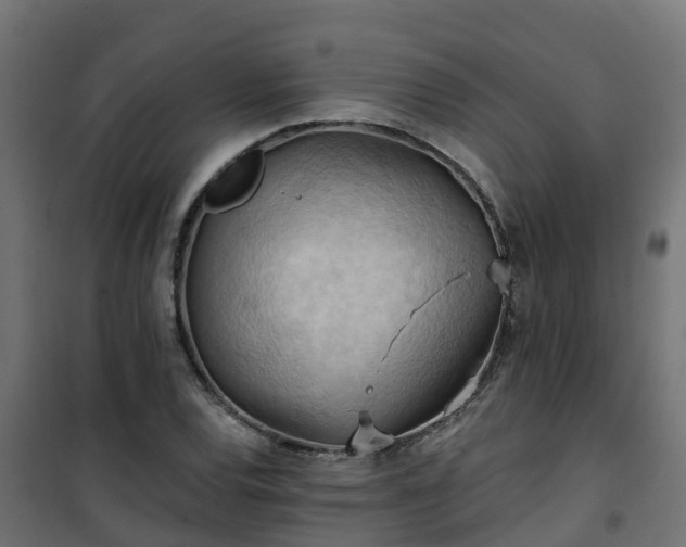 X0000101211120200807071332