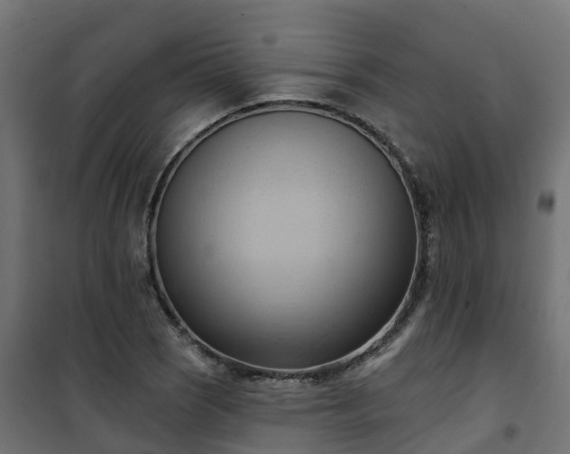 X0000101211121200807071332