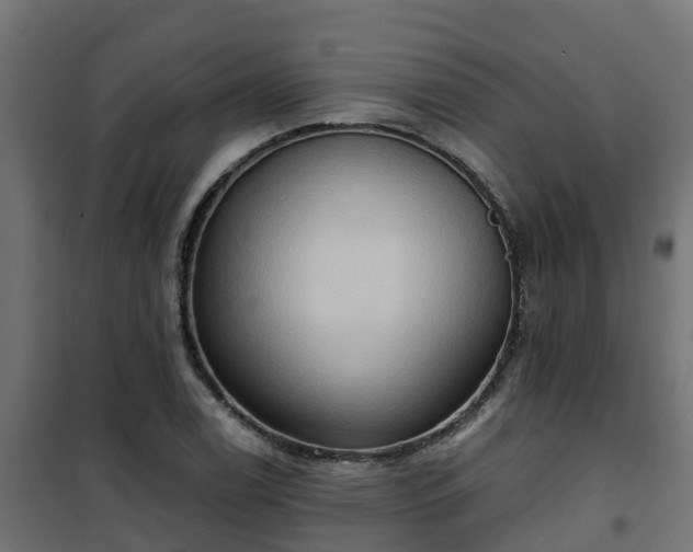 X0000101211122200807071332