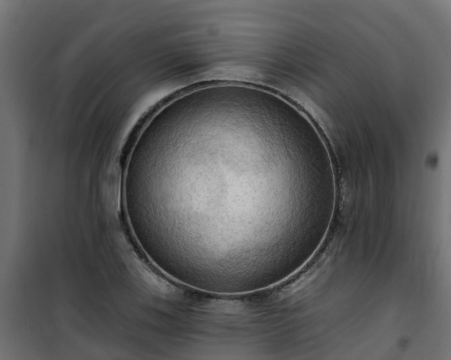 X0000101211123200807071332