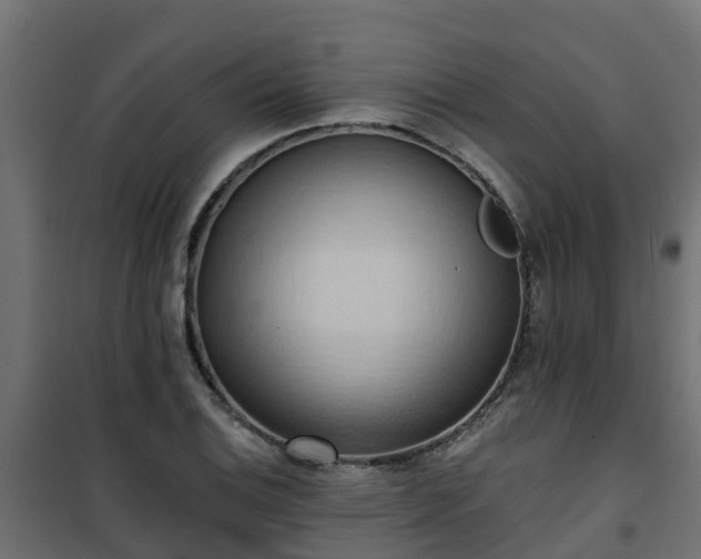 X0000101211124200807071332