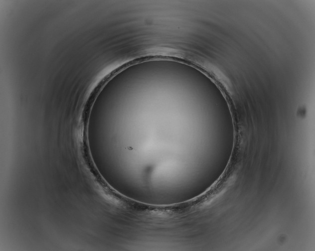 X0000101211125200807071332