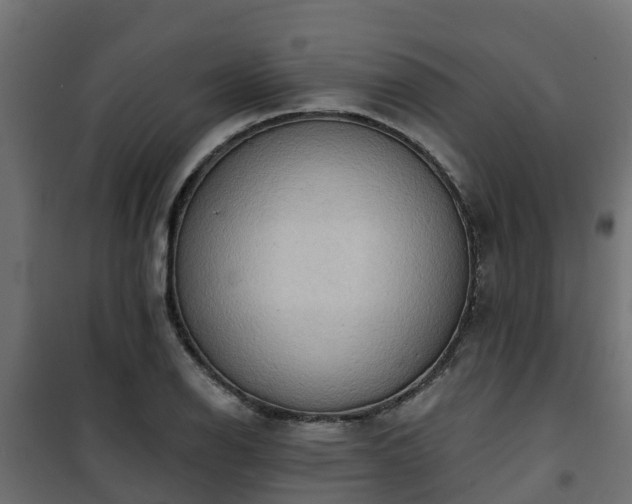 X0000101211126200807071332