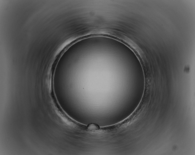 X0000101211127200807071332