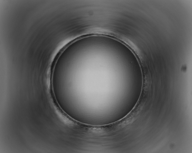 X0000101211128200807071332