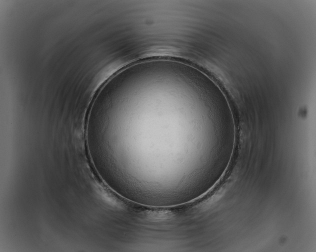 X0000101211129200807071332