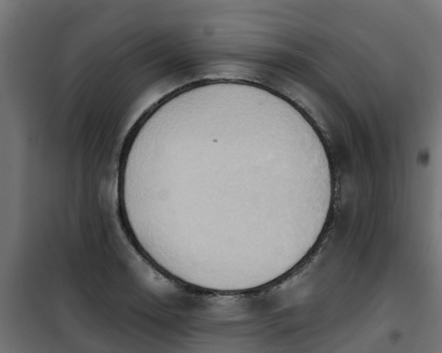 X0000101211130200807071332