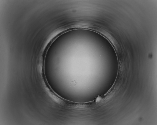 X0000101211131200807071332