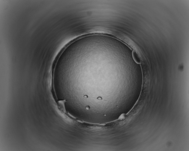 X0000101211132200807071332