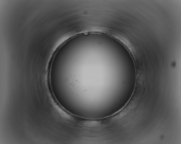 X0000101211135200807071332