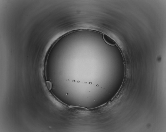 X0000101211136200807071332