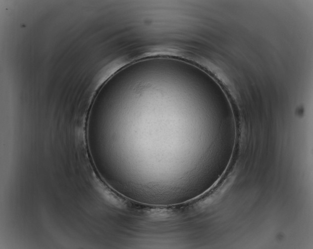 X0000101211137200807071332