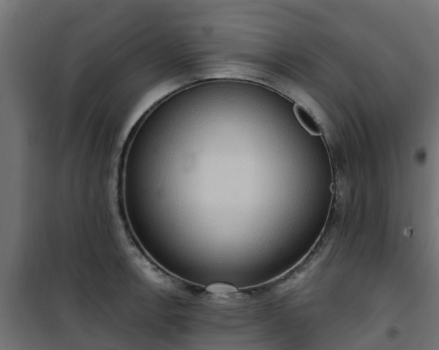 X0000101211138200807071332