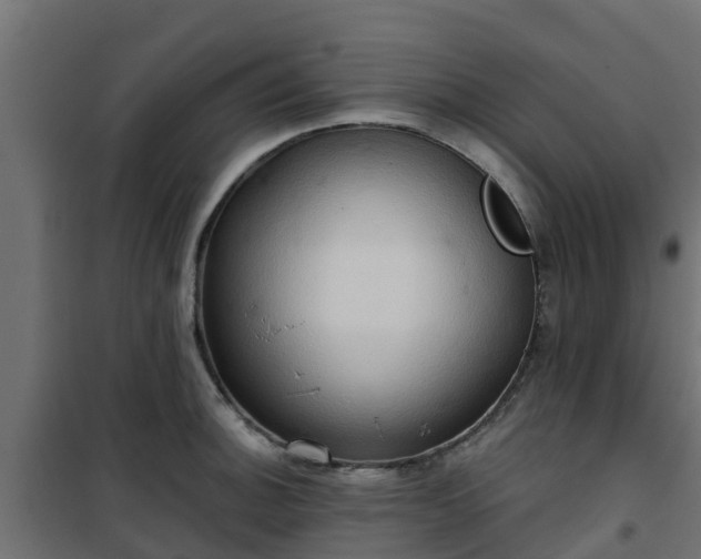 X0000101211140200807071332