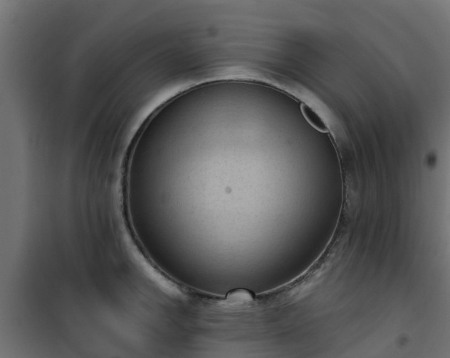 X0000101211142200807071332