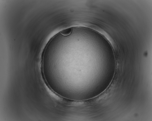 X0000101211143200807071332