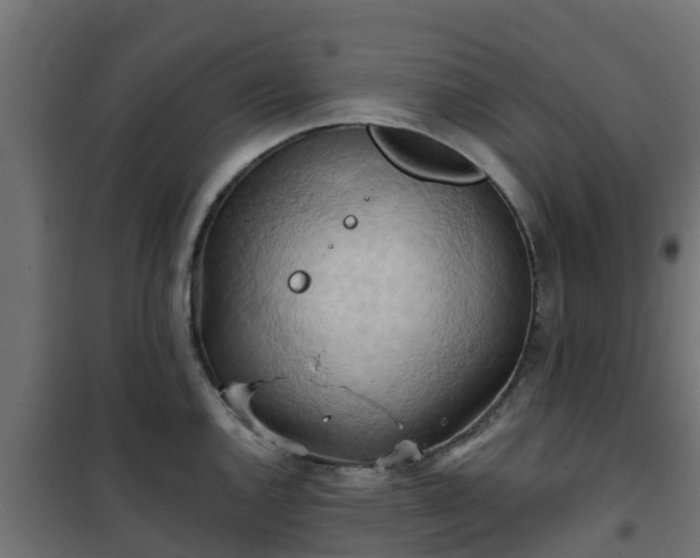 X0000101211144200807071332