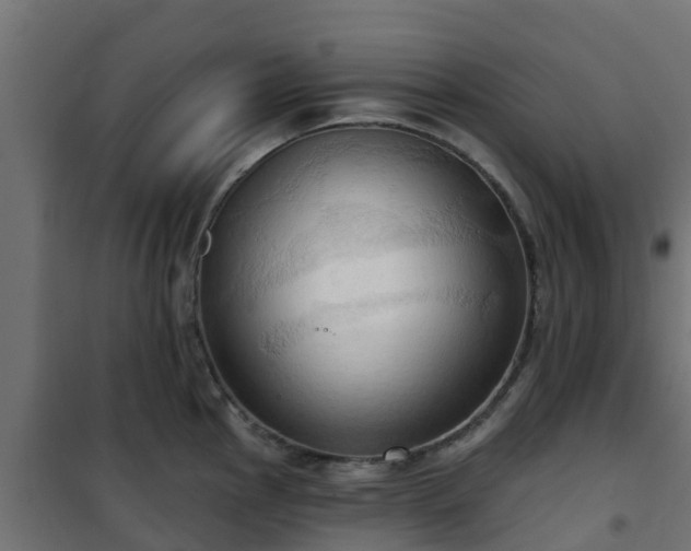 X0000101211145200807071332