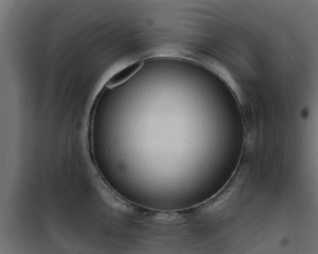 X0000101211146200807071332