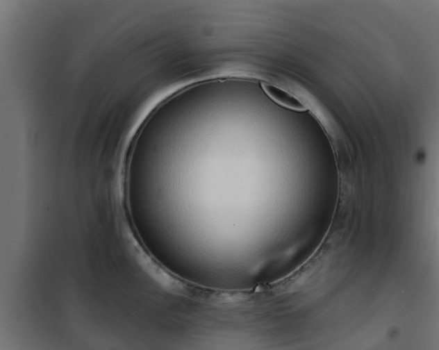 X0000101211148200807071332