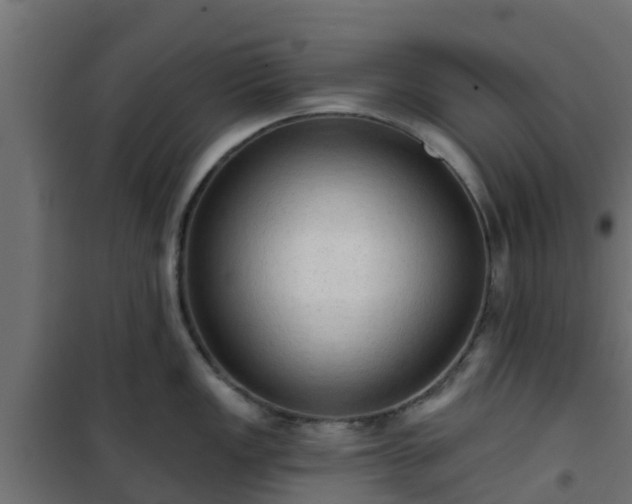 X0000101211149200807071332