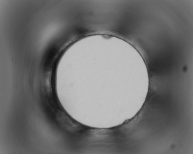 X0000101211150200807071332