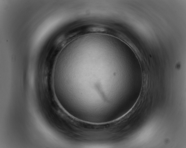 X0000101211151200807071332